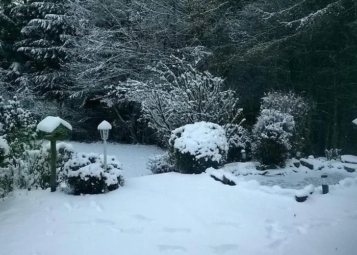 In Im Trieschelbach Mit Grossem Garten By Interhome Semesterbostad Hermeskeil